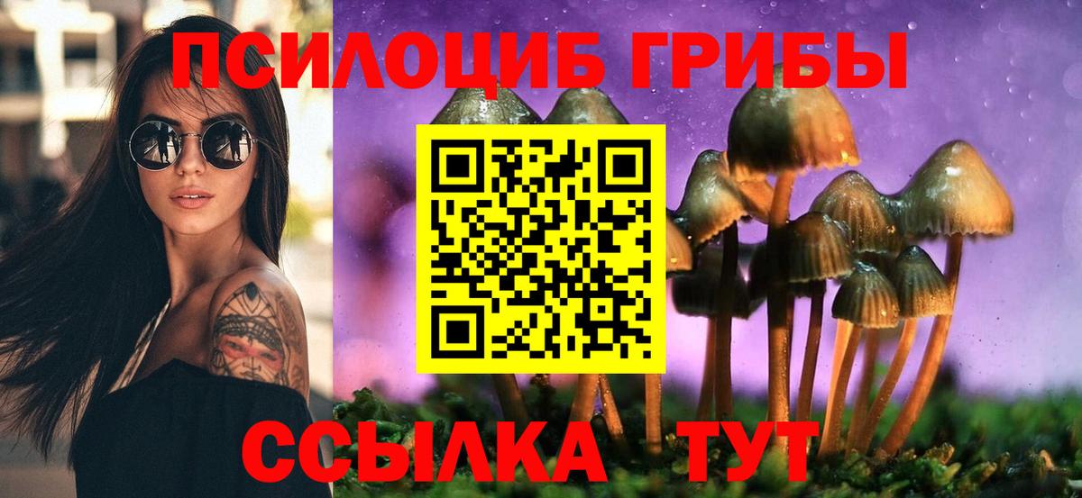 Псилоцибиновые грибы ЛСД Похвистнево