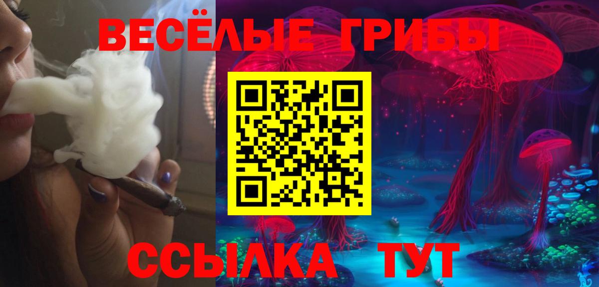 Галлюциногенные грибы GOLDEN TEACHER  хочу   Похвистнево  Вход с VPN  Псилоцибиновые грибы Cubensis 